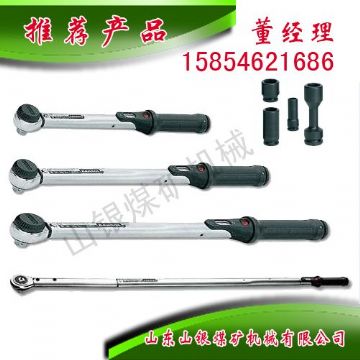 點(diǎn)擊查看詳細(xì)信息<br>標(biāo)題：顯示扭力扳手 閱讀次數(shù)：1843