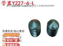 點(diǎn)擊查看詳細(xì)信息<br>標(biāo)題：英格索蘭隔膜泵配件管塞Y227-6-L 閱讀次數(shù)：277