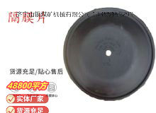 點(diǎn)擊查看詳細(xì)信息<br>標(biāo)題：氣動(dòng)隔膜泵配件-隔膜片 閱讀次數(shù)：221