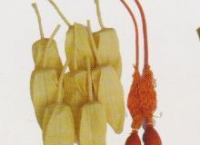 點(diǎn)擊查看詳細(xì)信息<br>標(biāo)題：取氣樣球膽 閱讀次數(shù)：135